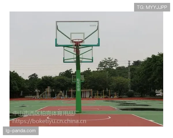解读篮球争议球处理规则：理解其适用场景与判罚依据